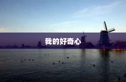 我的好奇心