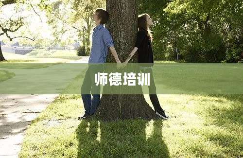 师德培训