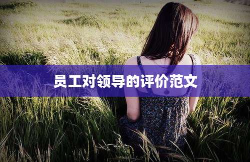 员工对领导的评价范文