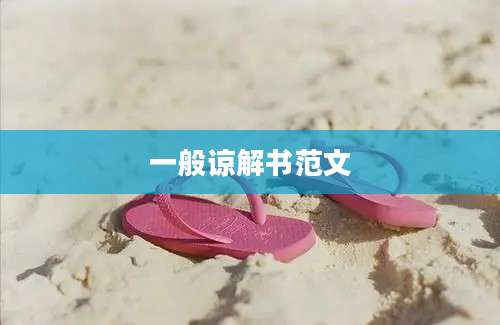 一般谅解书范文