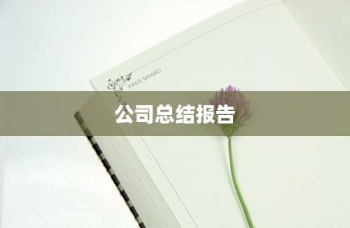 公司总结报告