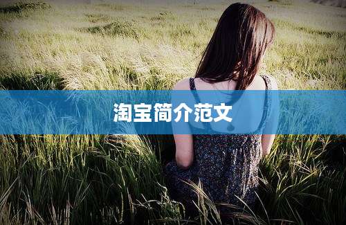淘宝简介范文