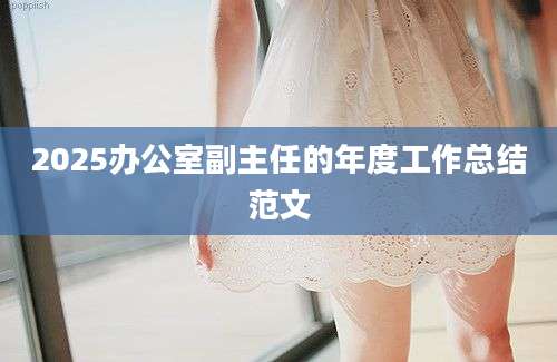 2025办公室副主任的年度工作总结范文