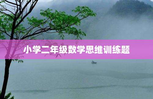 小学二年级数学思维训练题