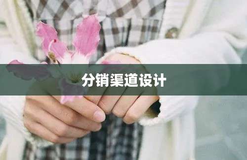 分销渠道设计