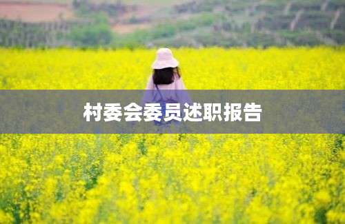 村委会委员述职报告