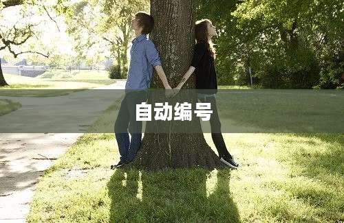 自动编号