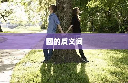回的反义词