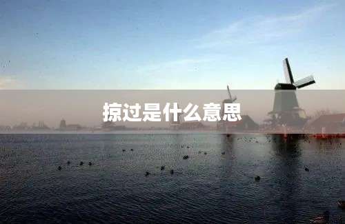 掠过是什么意思