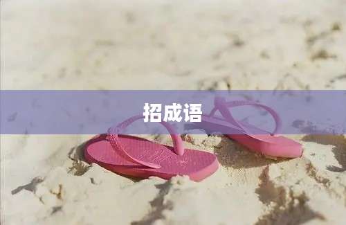 招成语