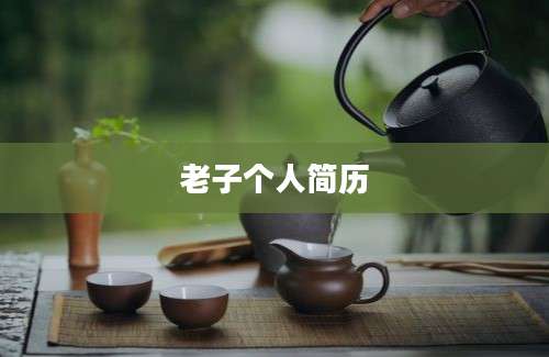 老子个人简历