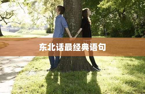 东北话最经典语句