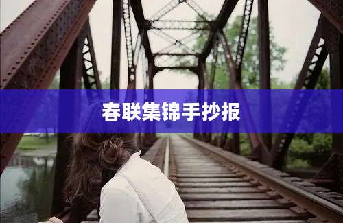 春联集锦手抄报