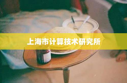 上海市计算技术研究所