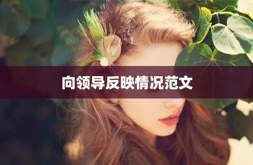 向领导反映情况范文