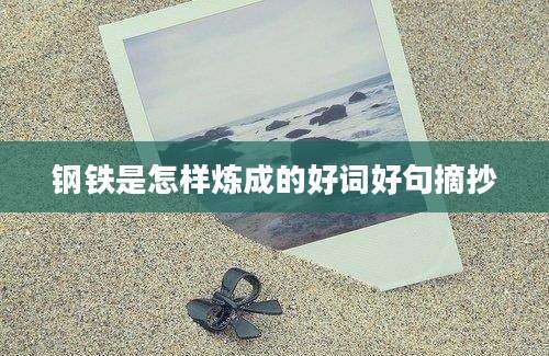 钢铁是怎样炼成的好词好句摘抄