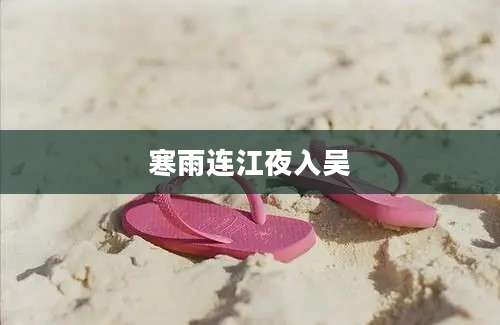 寒雨连江夜入吴