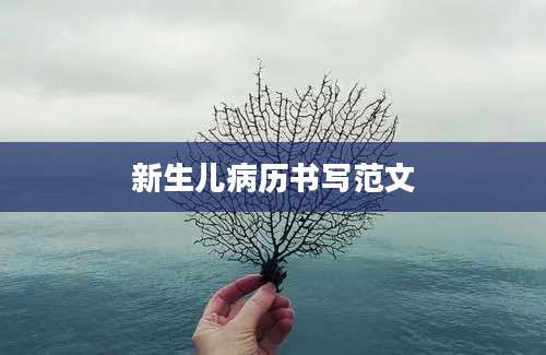 新生儿病历书写范文