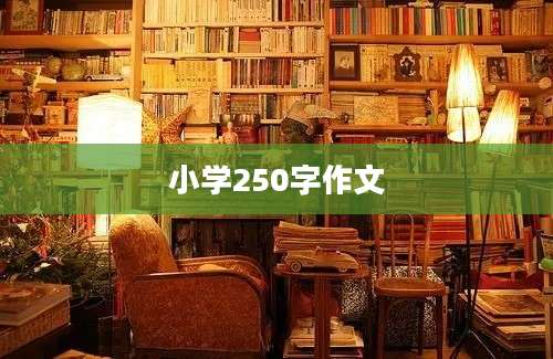 小学250字作文