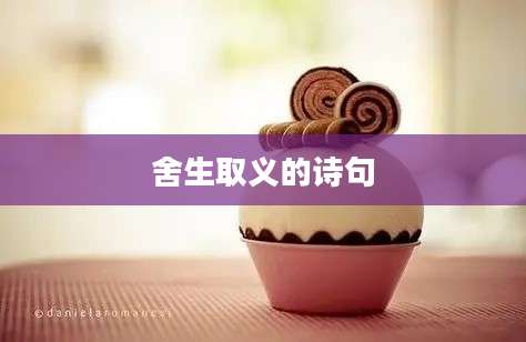 舍生取义的诗句