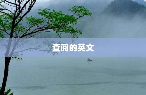 查阅的英文