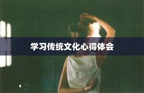 学习传统文化心得体会