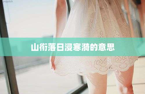 山衔落日浸寒漪的意思