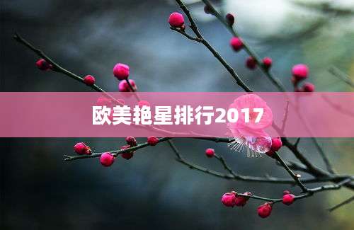欧美艳星排行2017