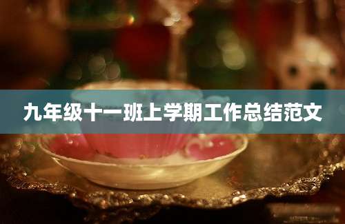 九年级十一班上学期工作总结范文