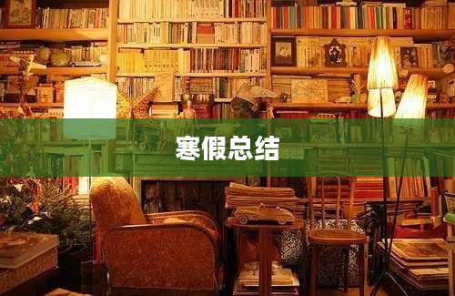 寒假总结