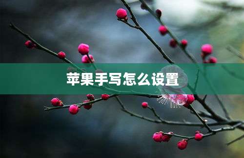 苹果手写怎么设置