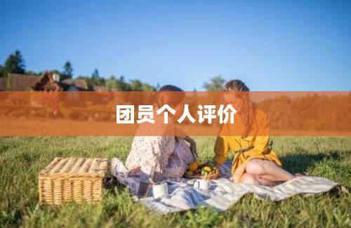 团员个人评价