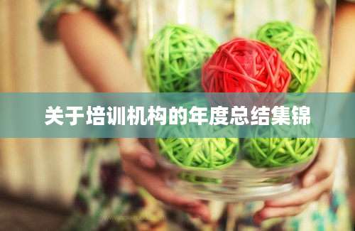 关于培训机构的年度总结集锦