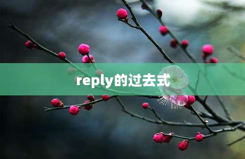 reply的过去式
