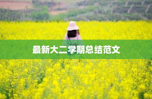 最新大二学期总结范文