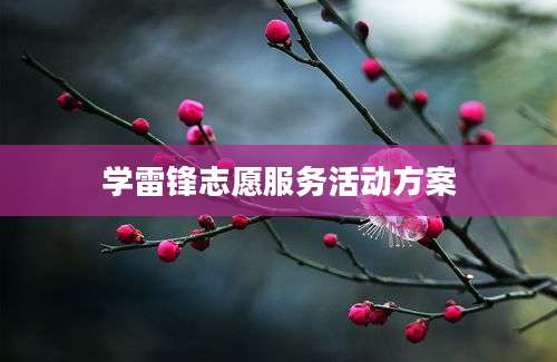 学雷锋志愿服务活动方案