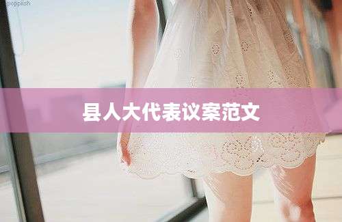 县人大代表议案范文