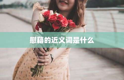 慰藉的近义词是什么