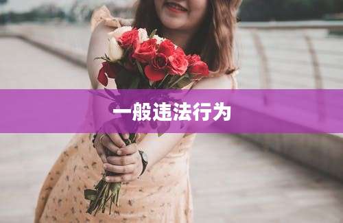 一般违法行为