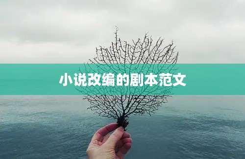 小说改编的剧本范文