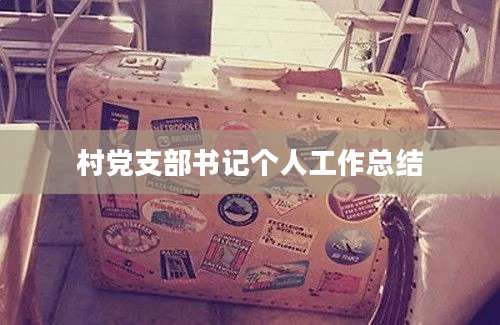村党支部书记个人工作总结