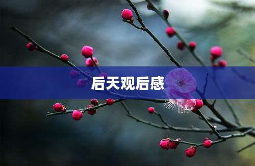 后天观后感