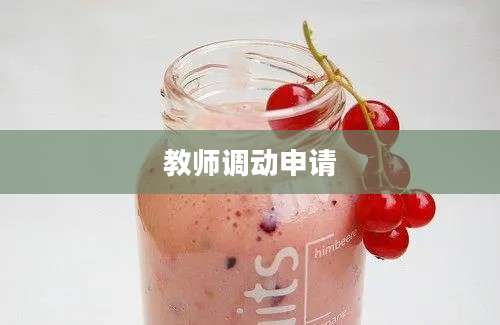 教师调动申请