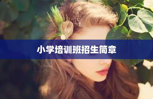 小学培训班招生简章