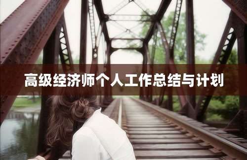 高级经济师个人工作总结与计划