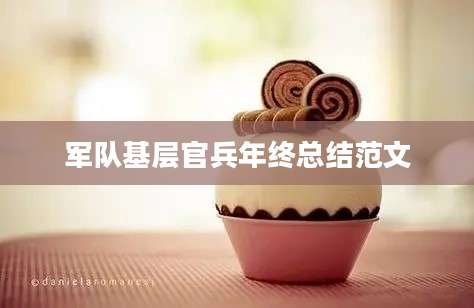 军队基层官兵年终总结范文