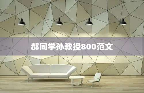 郝同学孙教授800范文
