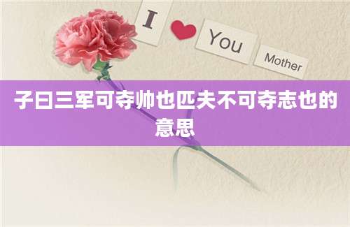子曰三军可夺帅也匹夫不可夺志也的意思