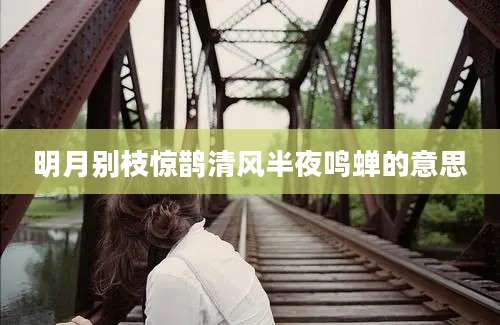 明月别枝惊鹊清风半夜鸣蝉的意思