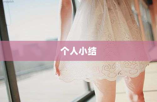 个人小结